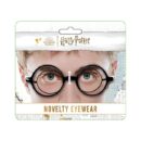 Harry Potter Glasses